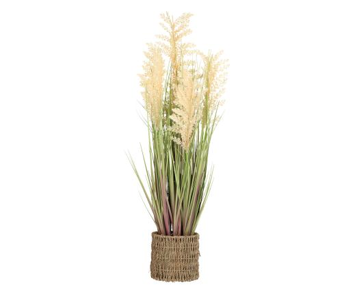 Keinotekoinen kasvi IN GARDEN H87cm, beige durra, ruohonkorvat ruukussa