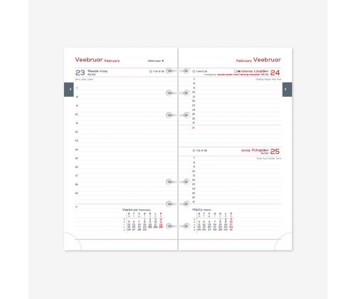 Kalenteri Shortsit MIDI Timex Day 2914302000