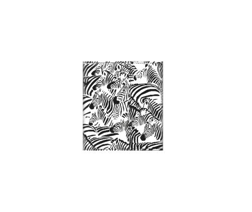 Kalenteri Time-Master MINI Timex Zebra 2914382556
