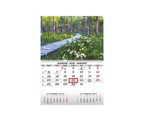 Pellavakalenteri MONO viro-englanti nro 4 2911050004 2911050004