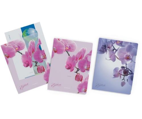 Muovitasku A4 2 sivua auki 4kpl/pkt Romantique