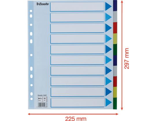 Rekisterikielekkeet ESSELTE Maxi A4+ 10 väriä muovia
