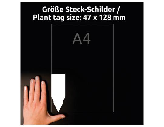 Kalvotarrat kasveille AVERY Zweckform 128x47mm 6 arkkia 10 arkkia