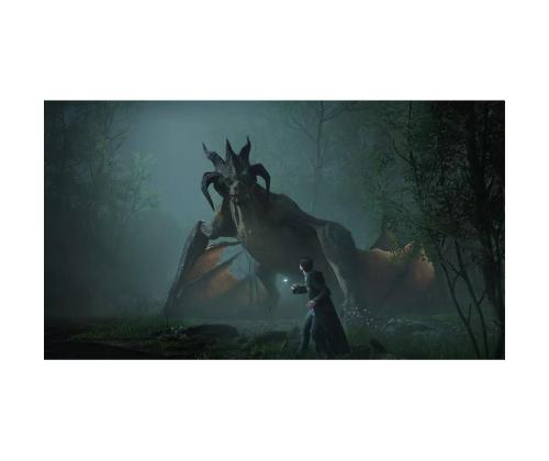 Tylypahkan perintö, Nintendo Switch - Peli