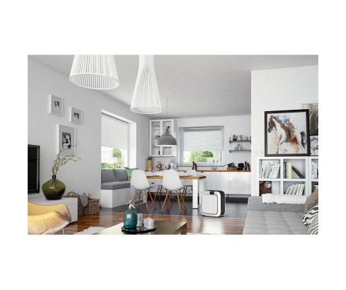 Ilmankostutin-pyyhin, Boneco