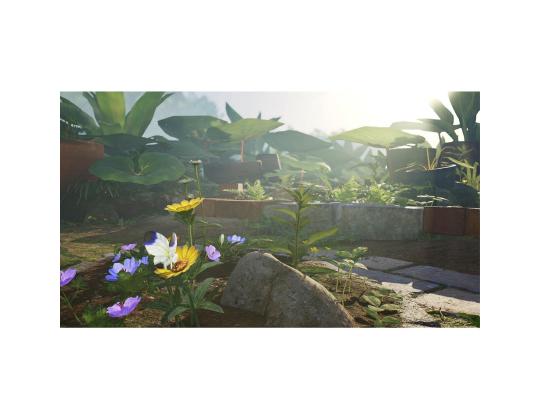 Pikmin 4, Nintendo Switch - Peli
