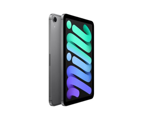 Apple iPad Mini (A17 Pro), 8.3GB, 128GB, WiFi + matkapuhelinverkko, harmaa - Tablettitietokoneet