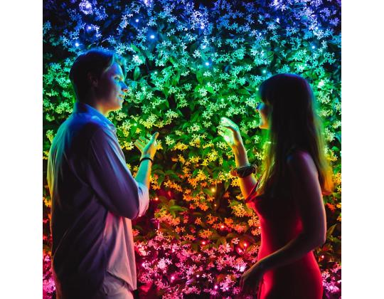 Twinkly Strings, 400 LED, IP44, 32 m, musta - Älykkäät jouluvalot