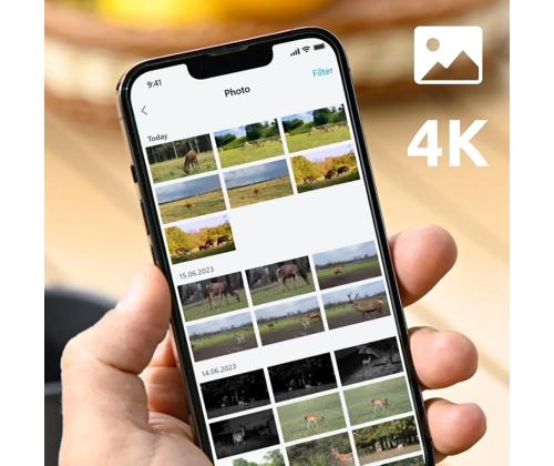Reolink Go Ranger PT + Aurinkopaneeli 2, 8 MP, 4G LTE, akkuvarmennus, yötila - Etäisyysmittarikamera aurinkopaneelilla varustettuna