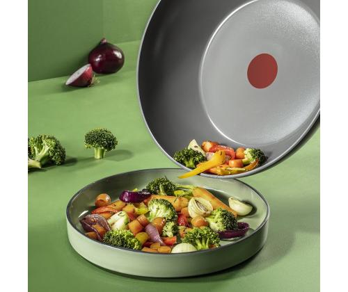 Tefal Renewal, 28 cm, harmaa - Lautasenkeitin