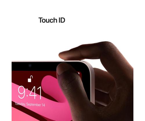 Apple iPad mini (2021), 8.3", 64GB, WiFi + LTE, beige - Tablet PC