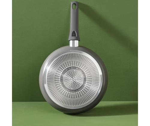 Tefal Renewal, 28 cm, harmaa - Paistinpannu