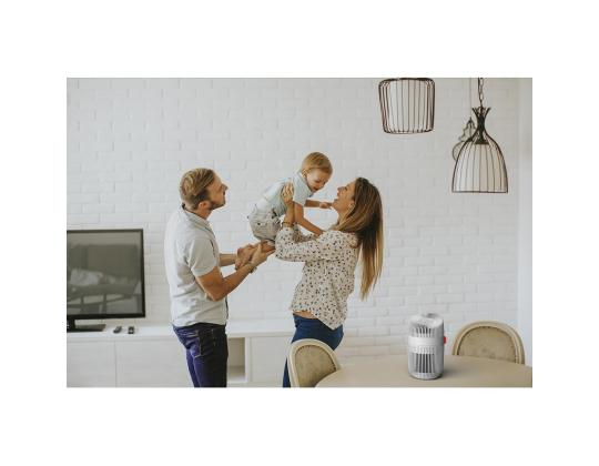 BONECO, valinta - Õhupuhasti