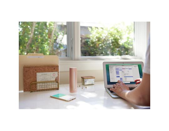 Netatmo Smart Indoor Air Quality Monitor, ruusukulta - Älykäs sisäilman laatumittari