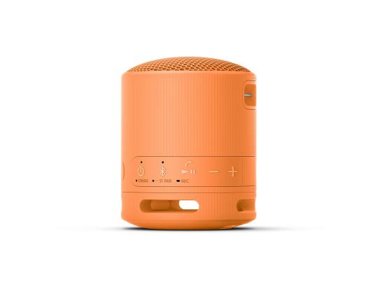 Sony SRS-XB100, oranssi - Kannettava langaton kaiutin