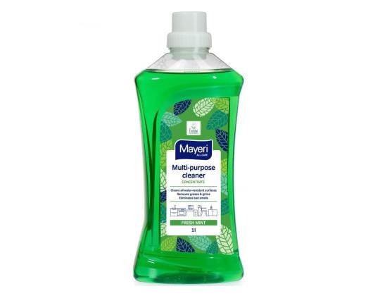 Yleispuhdistusainetiiviste MAYERI Fresh Mint 1L