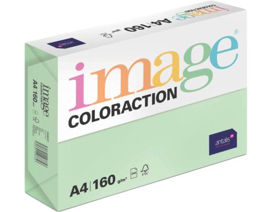 Värviline paber A4 160g IMAGE Coloraction nr.65 pastelne roheline (Forest) 250 lehte