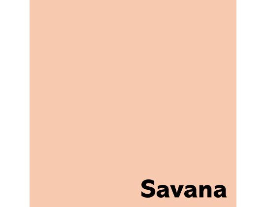 Värviline paber A4 80g IMAGE Coloraction nr.21 lõheroosa (Savana) 500 lehte