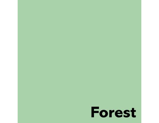 Värviline paber A4 80g IMAGE Coloraction nr.65 pastelne roheline (Forest) 500 lehte