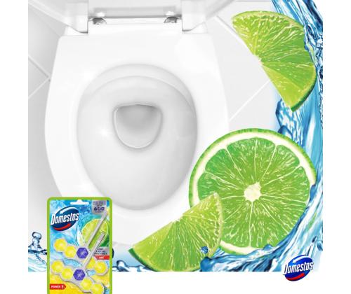 WC-raikaste DOMESTOS Power 5 Lime 100g