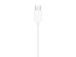 Apple EarPods langalliset kuulokkeet, USB-C, valkoinen