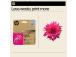 HP 937e EvoMore (4S6W7NE) mustekasetti, Magenta