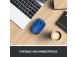 Logitech M171 langaton hiiri RF Wireless, 1000 DPI, sininen/musta