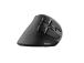Hiiri USB OPTICAL ERGONOMIC/VOXX 23731 TRUST