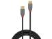 KAAPELI USB2 TYYPPI C 1M/ANTHRA 36871 LINDY