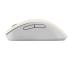 HIIRI USB OPTINEN WRL MD102/BEIGE 90XB0900-BMU000 ASUS