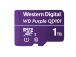 MUISTI MICRO SDXC 1TB UHS-I/WDD100T1P0C WDC WDC