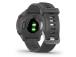 ÄLYKELLO FORERUNNER 55/HARMAA 010-02562-13 GARMIN