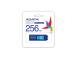 MUISTIASEMA FLASH USB-C 256GB/ACHO-UC300-256G-RNB/BU ADATA
