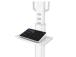 MONITORI ACC VIDEOBAR MULT. KIT/AFLS-825WH1 NEOMOUNTS
