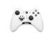 GAMEPAD FORCE GC20/WHITE FORCE GC20 V2 MSI