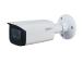 NETTIKAMERA 5MP IR BULLET/IPC-HFW2541T-ZAS27135S2 DAHUA
