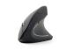 Tietokonehiiri USB OPTICAL langaton musta ERGONOMIC MUSW-ERGO-01 GEMBIRD