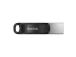 MUISTIASEMA FLASH USB3 256GB/SDIX60N-256G-GN6NE hiekkalevy