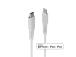 Kaabel Lightning - USB-C 3M 31318 LINDY