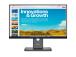 LENOVO ThinkVision P24QD-40 23,8 tuumaa