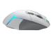 LOGI G502 X PLUS - VALKOINEN/PREMIUM - EER2