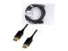 LOGILINK CV0074 LOGILINK - DisplayPort 1