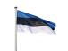 Maston lippu Viron 105x165cm