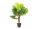 Keinotekoinen puu FAN PALM, K100cm