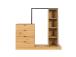 Eteisen kalusteet NOVA 145x40xH137cm, tammi/musta