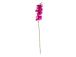 Orkidea FLOWERLY K94cm, violetti