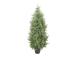 Tekopuu WIND CYPRESS H120cm