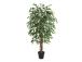 Keinotekoinen puu WIND FICUS H150cm