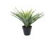 Keinotekoinen kasvi GREEN GRASS, K30cm, musta ruukku