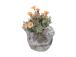 Kukkaruukun kansi STONE 22x13,5xH14cm, lintu